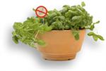 Plantekrukke med indbygget sneglev�rn