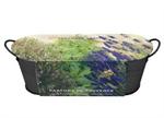 Provence Mix - fr� i sort zinkbalje. NYHED