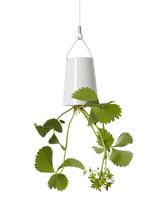 Sky Planter fra Boskke � small white
