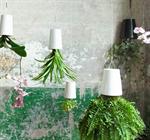 Sky Planter wireoph�ng